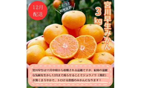 【4回定期便】和歌山 贅沢みかんフルコース / 宮川早生みかん・ポンカン・紅八朔・不知火※2026年12月より発送（期間限定・12/20まで受付） / 和歌山県 ミカン フルーツ 果物 柑橘 田辺市 みかん くだもの【nak030-tk】
