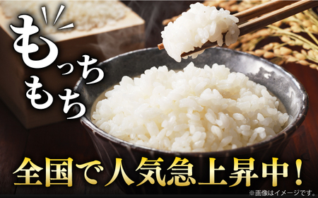 令和7年産 さがびより 白米 5kg / 佐賀県 / 株式会社森光商店 [41ACBW018]