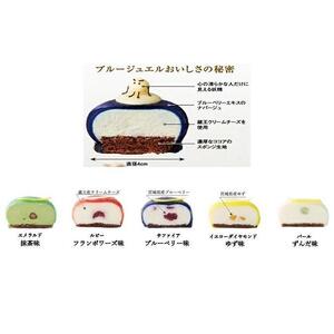 「水玉の陣」 - Gift Box 10 piece - ＆ Blue Jewel ブルージュエル - Gift Box of 9 piece -セット　【お菓子・チーズケーキ・レアチーズケーキ・宝石・上品・華やか・スイーツ・クリームチーズ・ブルーベリー・ゆず・ずんだ・地元食材・セット】