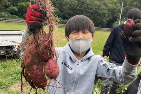 茨城県産 さつまいも『紅はるか』生芋10kg S～Lサイズ混合 1箱｜熟成 サツマイモ 国産 スイーツ 産地直送 人気 蜜芋 阿見町（56-06）