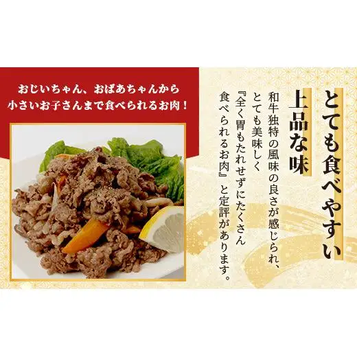 石垣島産 黒毛和牛 新里牛 多用途抜群！ 切落し (500g×2) 合計1kg SZ-12
