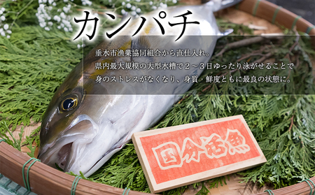 C3-6401／【鹿児島県垂水市産】カンパチ（１匹）　甘口さしみ醤油付き