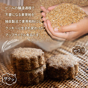 お腹ピカピカ 麦芽粕(モルト)クッキー 1袋5コ入×10袋