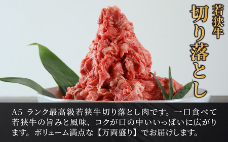 若狭牛 A5ランク 切り落とし 国産牛 [C-037005] 