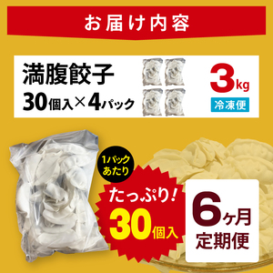【6ヶ月定期便】満腹餃子 リピーター続出！ボリューム満点！120個（３kg ）×6回（EJ-15）