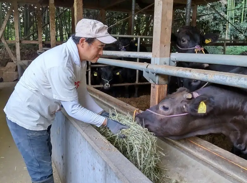 ＜なかむら謹製＞【博多和牛】黒毛和牛厚切りロースステーキ2.4kg【K-032】