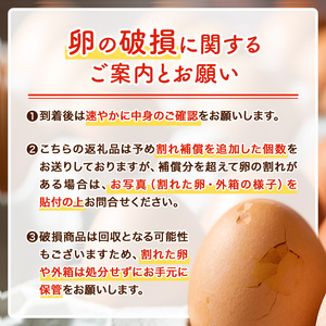 isa529 【定期便】いちき農園のこだわり卵(計480個・40個×12カ月) 平飼い 鶏 たまご 卵 タマゴ 低コレステロール 抗生物質不使用 卵かけご飯 TKG 定期便【いちき農園】【isa529】
