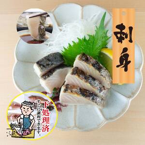 【嶋矢水産】 瀬戸内の鮮魚 直送便 下処理済み 産地直送 10000円 台 二人前 刺身 煮魚 焼き魚 瀬戸内海 愛媛 松山 老舗 魚 人気 イサキ タイ 鯛 ワカナ サワラ 鰆 炙り メバル オコゼ イサキ チダイ タチウオ【SMY001】