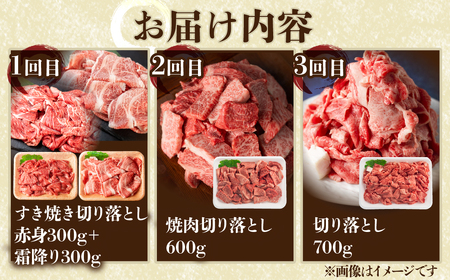 【 定期便 】 訳あり 飛騨牛 バラエティ 3回 計1.9kg 訳あり [S608]