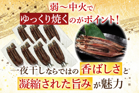 【北海道根室産】さんま魚醤干し A-54015