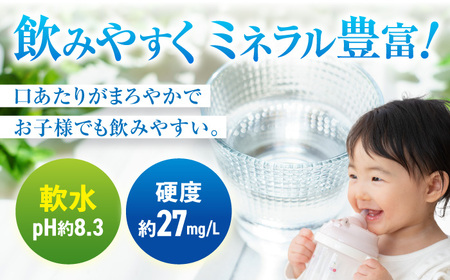 【最短1週間以内発送】日田天領水 2L×10本 天然水 備蓄 防災 ミネラルウォーター シリカ[AREG031] 