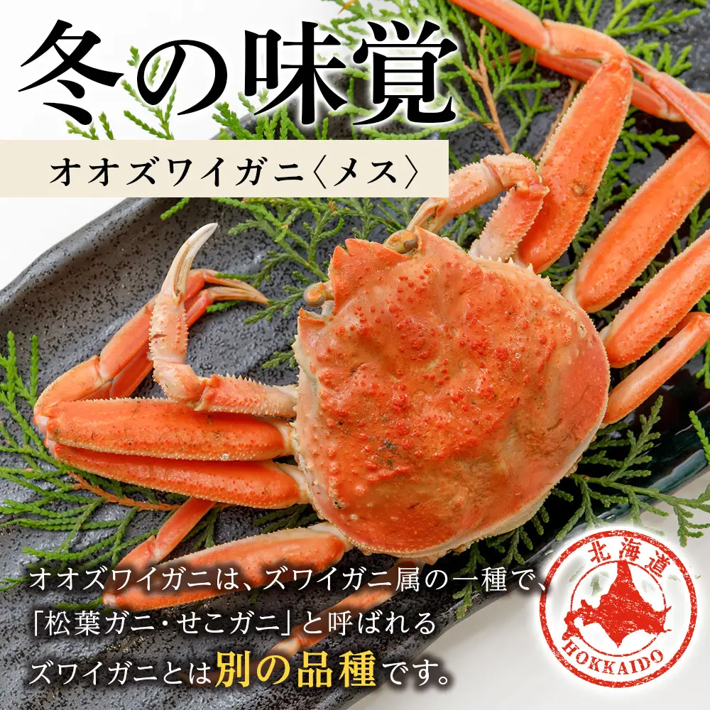 北海道産 生オオズワイガニ メス 2kg （加熱用） 〈斉藤水産〉 AM159