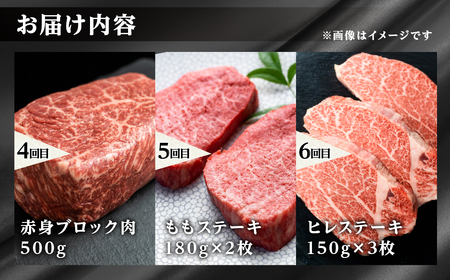 《まるごと定期便》6回 お届け 飛騨牛 赤身三昧 飛騨牛 [S605]