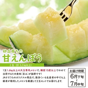 SC0628　【3回定期便】自然の恵み　春・夏・秋フルーツ定期便2026 (いちご、青肉メロン、柿)