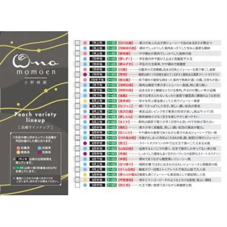 【市場にほぼ出回らない浅間白桃】人気品種指定ギフト5年連続TV出演話題ブランド2026年7月中旬発送【配送不可地域：離島・北海道・沖縄県・中国・四国・九州】【1465254】