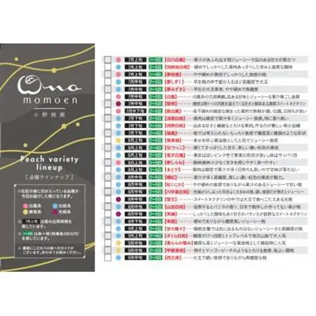 《王道硬めのエース川中島白桃》桃グランプリ銅賞＆5年連続TV出演話題ブランド2026年8月上旬発送【配送不可地域：離島・北海道・沖縄県・中国・四国・九州】【1465325】