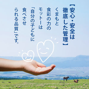 国内肥育 熊本発送 馬刺し 赤身 500g 馬刺し醤油・生姜付き 馬肉