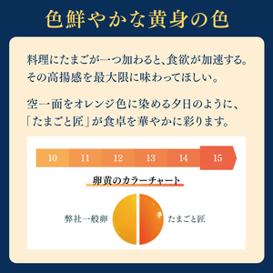 たまご 【たまごと匠】 赤玉 20粒