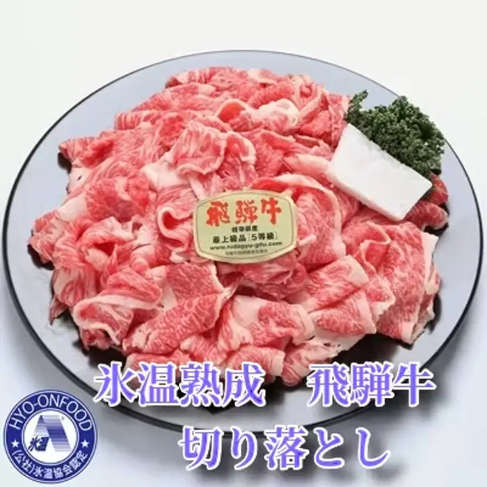 【3ヵ月毎定期便】氷温（R）熟成飛騨牛セット　全4回 [No.902]