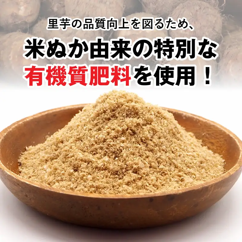 【先行予約】【満天☆青空レストランでご紹介】上田農園 上庄特産さといも 5kg【10月下旬から順次発送】年内発送