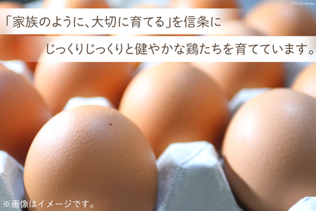 BH100 マツコの知らない世界で紹介！ 【業務用】 さつまいも愛でたまご 5kg　[ 長崎県 島原市 ]
