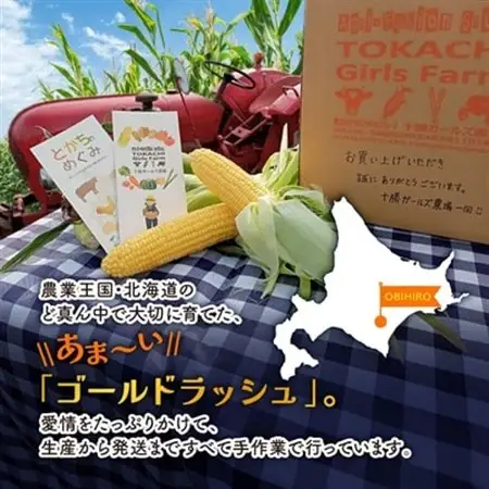 先行受付【十勝ガールズ農場】直送 朝もぎつぶつぶ「あま～いゴールドとうもろこし」10本_野菜 とうもろこし  トウモロコシ_【配送不可地域：離島】【1462030】