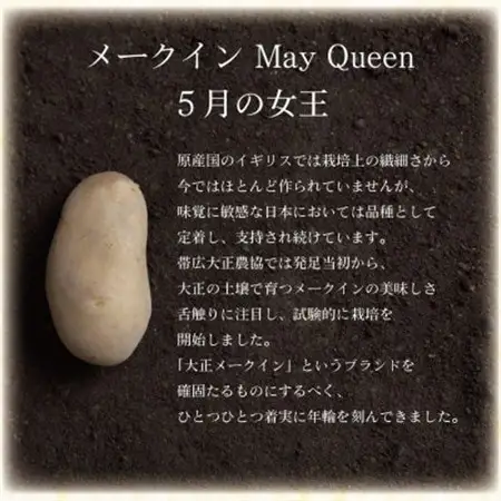 大正メークインじゃがバター20個入【5個入×4】_野菜 じゃがいも いも ジャガイモ 馬鈴薯  惣菜・加工品   _【1464529】