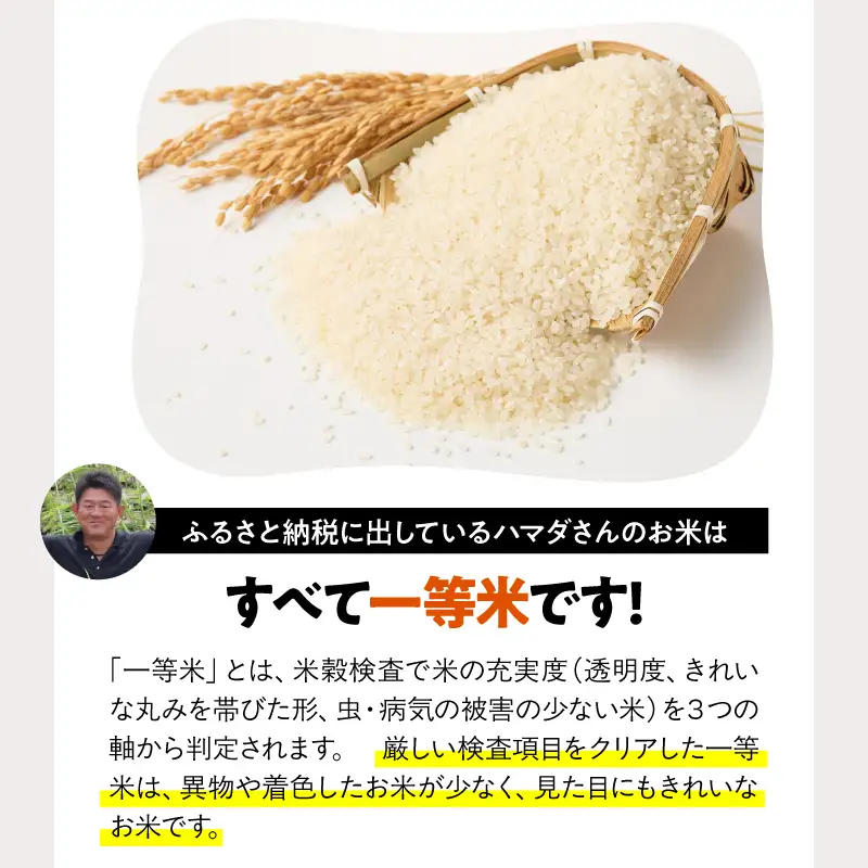 1667-2 【 全3回定期便 】 こだわり農家の自信作！ 鹿屋市高隈産 「 ひのひかり 」  5kg KN069-T01 米