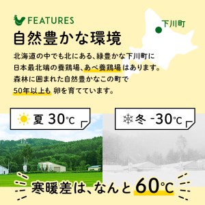 Mサイズ 5kg 約90個（80個＋割れ補償10個） 約半世紀卵づくり一筋 ！『下川六〇酵素卵』 下川ろくまる あべ養鶏場 割れ補償付き たまご F4G-0302