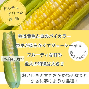 野菜 朝採れ とうもろこし 10本 〈アグリにのうみ〉