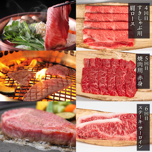 【6ヶ月定期便】近江牛 定期便 6ヶ月 すきしゃぶ 焼き肉 ステーキ【 近江牛 牛肉 】