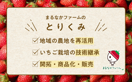 クラフトビール Koichigo Beer 330ml×2本セット | クラフトビール 地ビール【まるなかファーム株式会社】