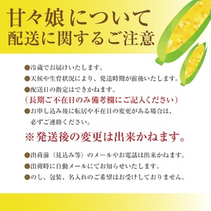 市川三郷町産甘々娘（とうもろこし）6本入り【2026年6月上旬から発送】薬袋和幸農園[5839-1982]