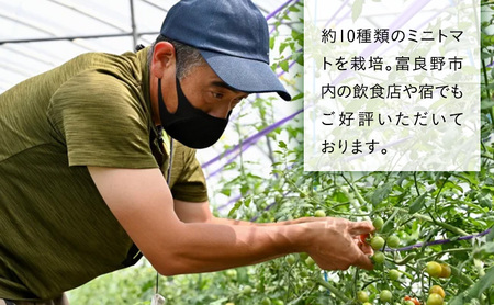【2026年7月より発送】北海道 富良野市産 完熟ミニトマト 2種 計約2kg 甘っこ キャロル10 各1kg×2 詰め合わせ トマト 甘い 野菜 新鮮 数量限定 先着順【藏ファーム】