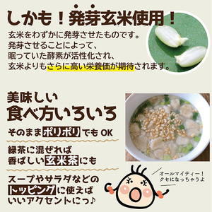 SZ0211　【ちっちゃな農家の大きな夢】 手軽に玄米を！ 食べる発芽玄米 30g×4袋