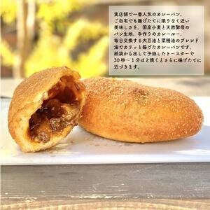 自然をほおばる プラントベース ( ピザ カレーパン スイーツ ) | お取り寄せ 冷凍 健康 美容 食生活 改善 自家製 カレーパン 天然酵母 カレー 人気 人気おすすめ 愛媛県 松山市【SL001】