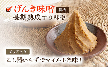 【4回定期便】さきちの厳選お手軽腸活3点セット（生あまざけ 100g×15本・手作り糀のげんき味噌・食材のうまみ倍増 塩糀） [OBF031]