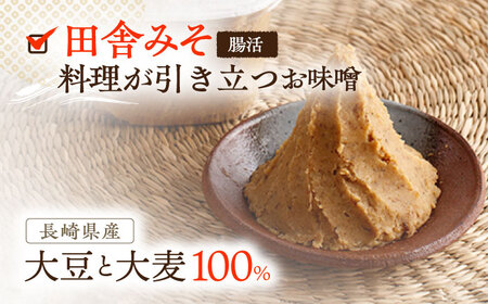 【2回定期便】さきちオリジナル 腸活3点セット（生あまざけ 100g×30本・手作り糀の田舎みそ(麦みそ)・食材のうまみ倍増 塩糀） [OBF033]