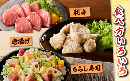 特選 目鉢鮪 頭肉 超希少部位 「 脂ハチの身 」 M081-001 冷凍 マグロ