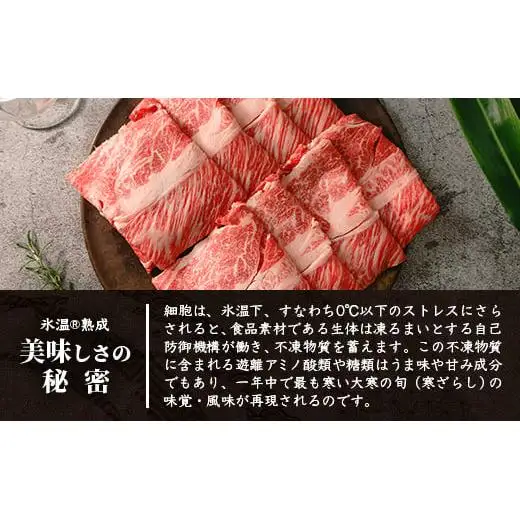 石垣島産 黒毛和牛 肩ローススライス 500g 　 YC-3