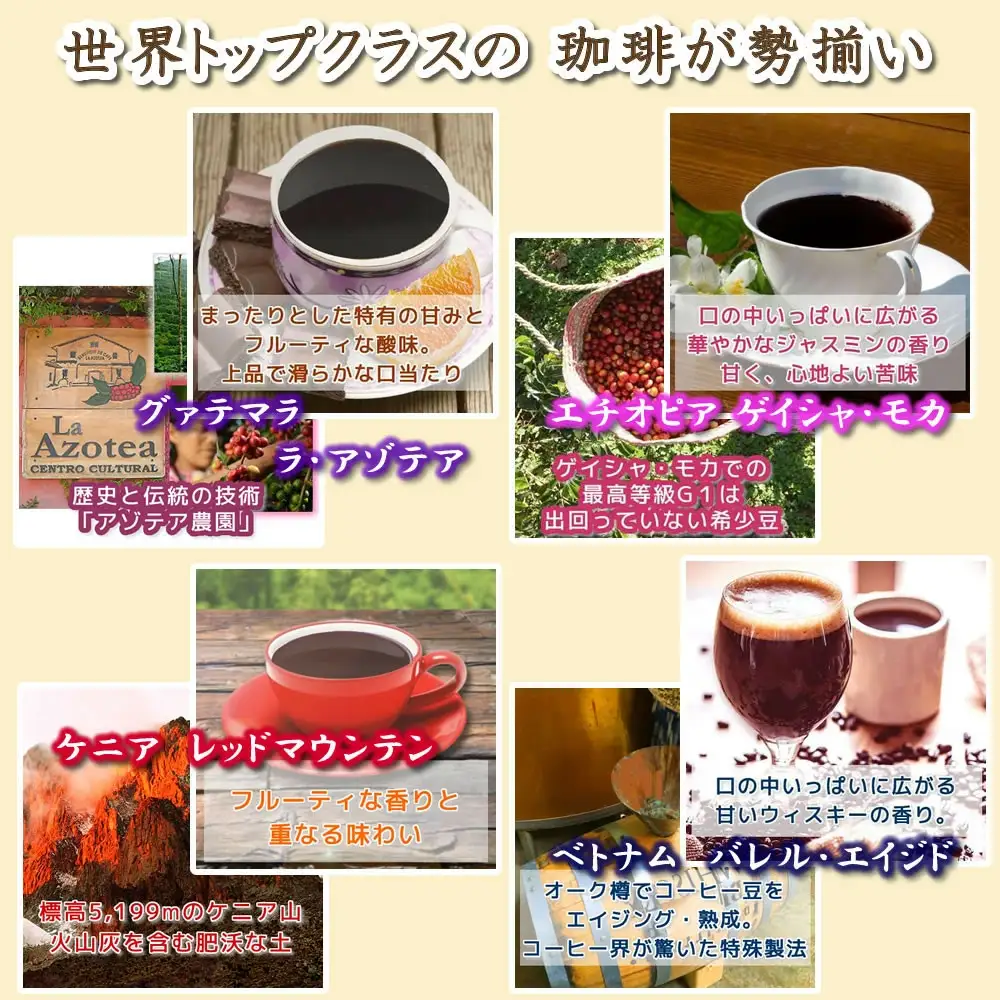 【12203-0106】定期便6回 世界一周 高級珈琲（豆のまま） 銀河コーヒー 