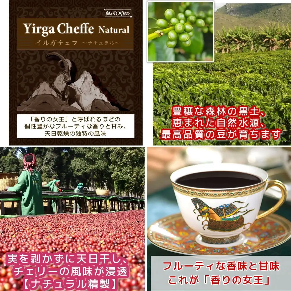 【12203-0100】世界の高級コーヒー（豆のまま）100g×4種 銀河コーヒー