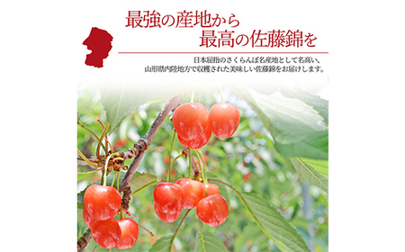 【2026年産 先行予約】山形県産さくらんぼ 佐藤錦 特秀 L玉 24粒 化粧箱入り FSY-1094