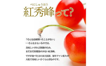 【2026年産 先行予約】山形県産さくらんぼ 紅秀峰 秀品 L玉 1kg バラ詰め 化粧箱入り FSY-2201