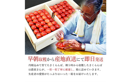 【2026年産 先行予約】山形県産さくらんぼ 紅秀峰 特秀 3L玉 300g 鏡詰め 化粧箱入り FSY-1096