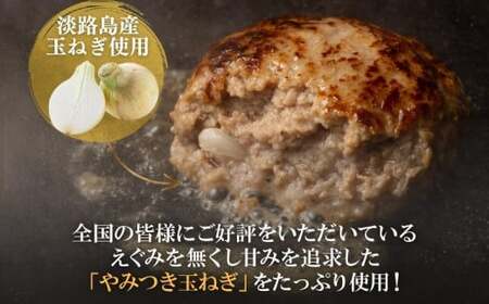 定期便「12ヶ月」淡路島玉ねぎ入れすぎハンバーグ 3kg（150ｇ×20個）冷凍