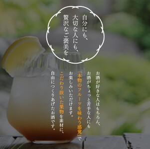 あらごしシリーズと梅酒720ｍl 12本 セット  梅乃宿酒造 リキュール【umyd028A】