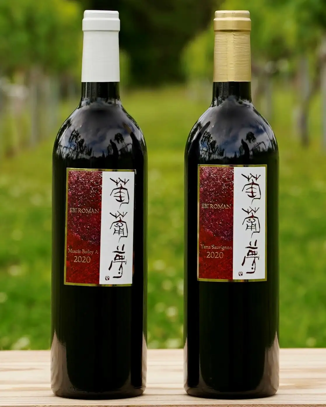 福島の恵み ワイン飲み比べセット ヤマソービニヨン マスカットベイリー 750ｍｌ 各１本 計２本 ギフト お土産【07208-0098】