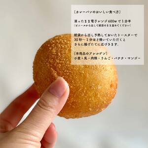 自然をほおばる こどもカレーパン 16個セット | 自家製 カレーパン 手作り お取り寄せ 冷凍 天然酵母 カレー 人気 愛媛県 松山市【SL004】