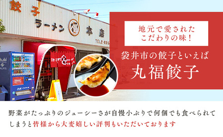 丸福餃子　茶餃子4パックセット 夕飯 晩御飯 惣菜 つまみ おかず お酒のお供 冷凍餃子 冷凍 冷凍惣菜 